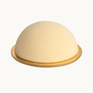 Panna cotta